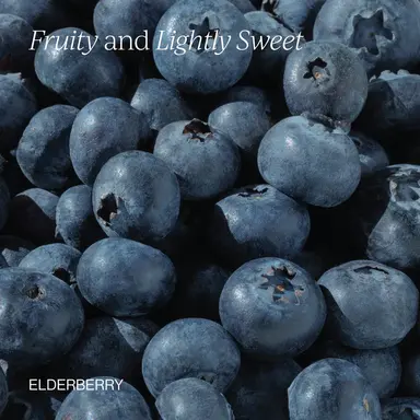 Liposomal Elderberry — 1 Month Supply thumbnail 4