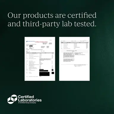 Liposomal Brain Complex — 1 Month Supply thumbnail 6