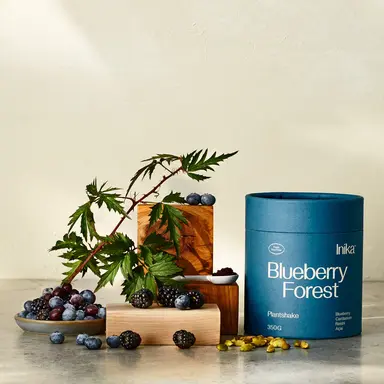 Blueberry Forest thumbnail 1